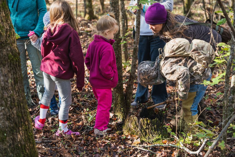 Kids exploring the woods at a past Gathering